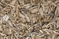 biomass boilers Vention